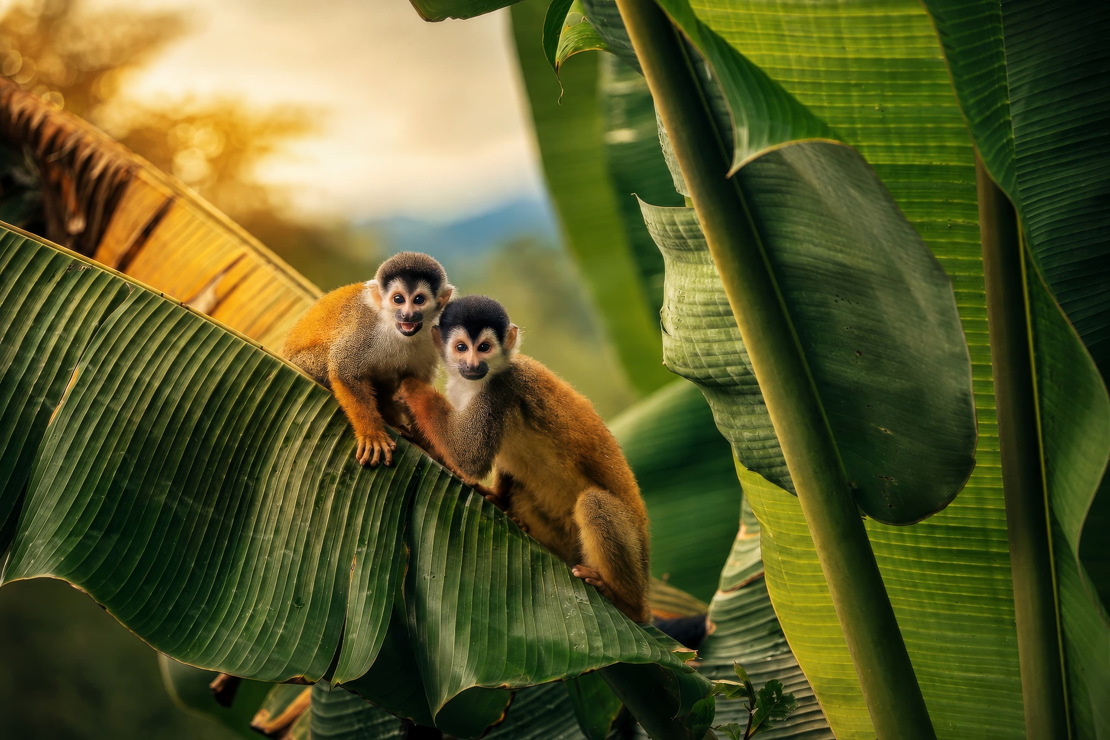 Wildlife
